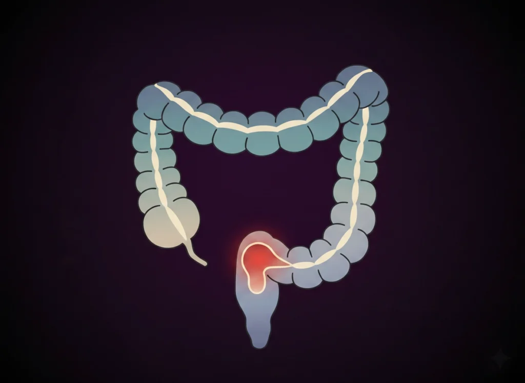 Minimalist medical illustration of the human lower bowel and colon featuring a red highlight in the rectal area to depict the location of rectal bleeding, inflammation, or hematochezia.